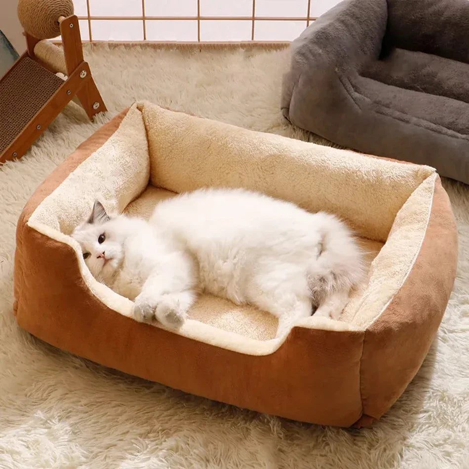 Bed for Cats Pet Products Cushions Kitten Goods Accessories Dog All Houses Supplies Things Accessory Habitats Basket House Beds Dureve