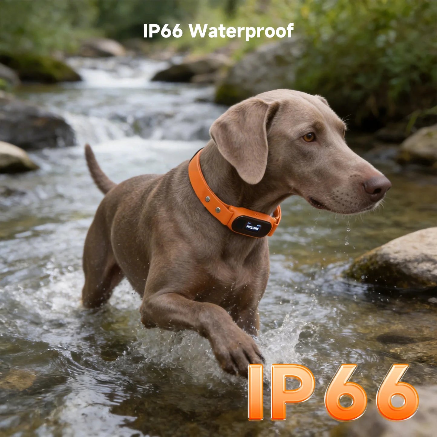 2026 Real-Time GPS Pet Collar Tracker Health Monitoring & Step Counting for Dogs and Cats