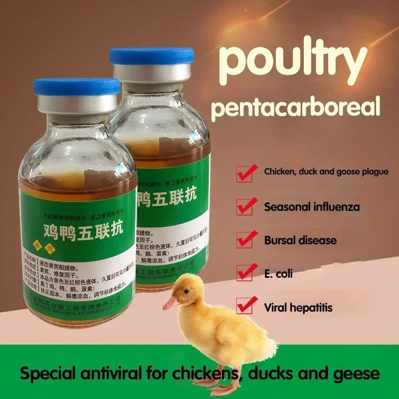 Poultry Chicken Duck Goose Plague Anti-four Seasons Influenza Bursal Disease Escherichia Coli Oral Drinking Water
