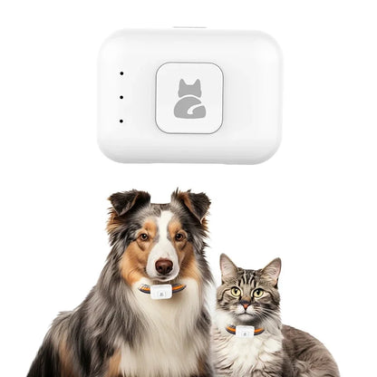 GPS Pet Locator Smart Collar with Colorful LED Flash IP67 Waterproof Pet Pedometer Calorie Health Data Monitoring Mini Tracker