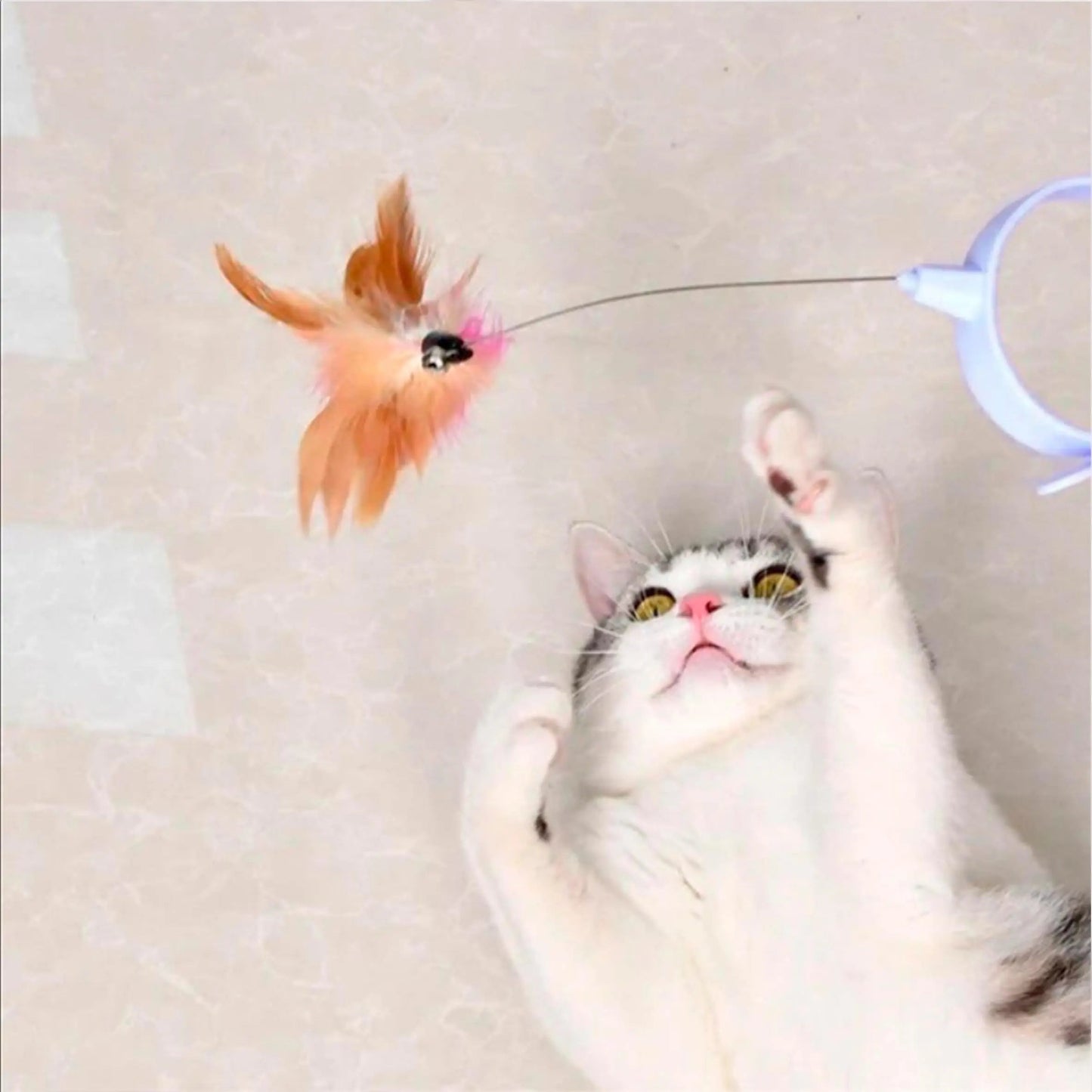 Interactive Cat Feather Collar Toy with Bell My Store 2