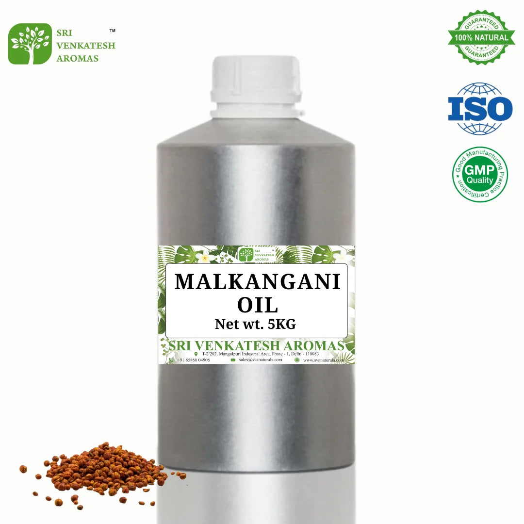 Botanical Malkangani Seed Oil | Herbal Carrier Oil | 5 kg Bulk | Hair Strength & Skin Care | Cosmetic Ingredient