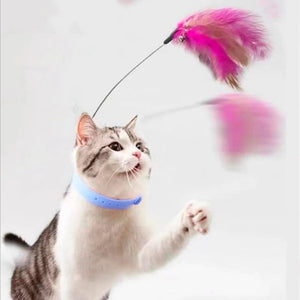 Interactive Cat Feather Collar Toy with Bell My Store 2