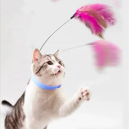 Interactive Cat Feather Collar Toy with Bell My Store 2