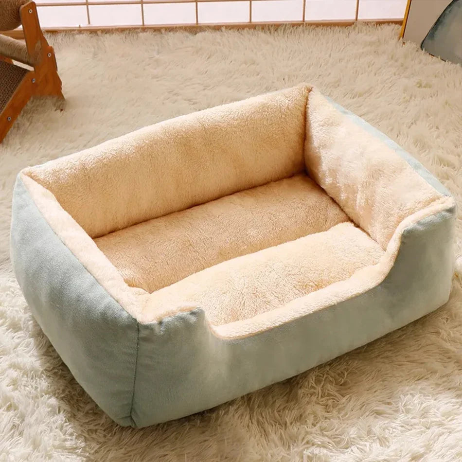 Bed for Cats Pet Products Cushions Kitten Goods Accessories Dog All Houses Supplies Things Accessory Habitats Basket House Beds Dureve