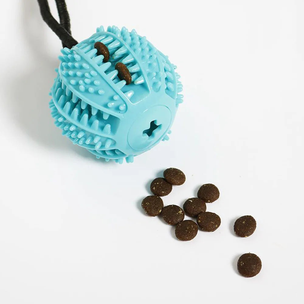 Interactive Dog Chew Ball Toy with Suction Cup My Store 2