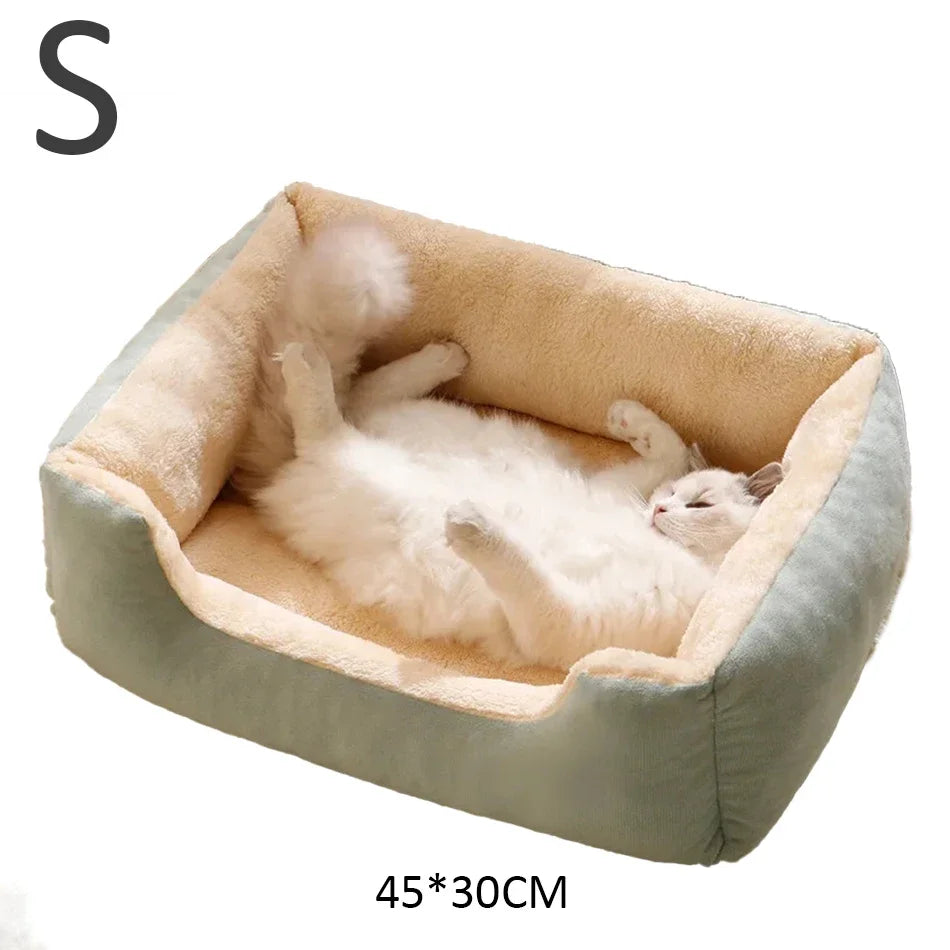 Bed for Cats Pet Products Cushions Kitten Goods Accessories Dog All Houses Supplies Things Accessory Habitats Basket House Beds Dureve