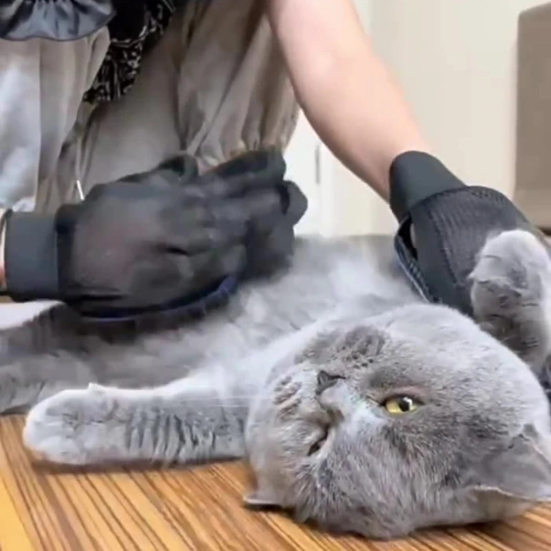 Silicone Pet Grooming Gloves for Dogs & Cats My Store 2