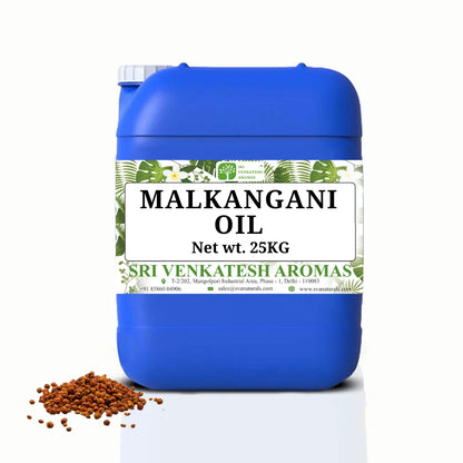Botanical Malkangani Seed Oil | Herbal Carrier Oil | 5 kg Bulk | Hair Strength & Skin Care | Cosmetic Ingredient