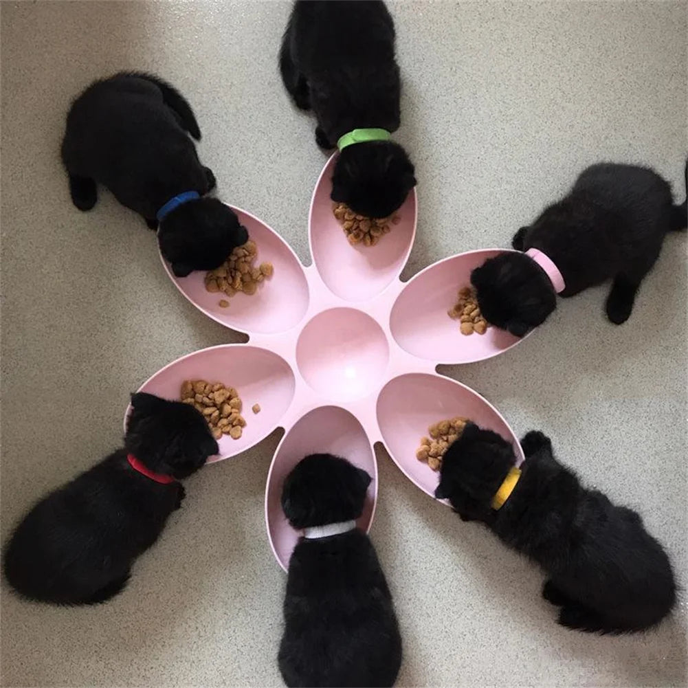Cat Bowl Multi Cat Petal Food Bowl Baby Cat Milk Cat Special Bowl Multi functional Cat and Dog Food Bowl Upgrade Pet Lunch Time