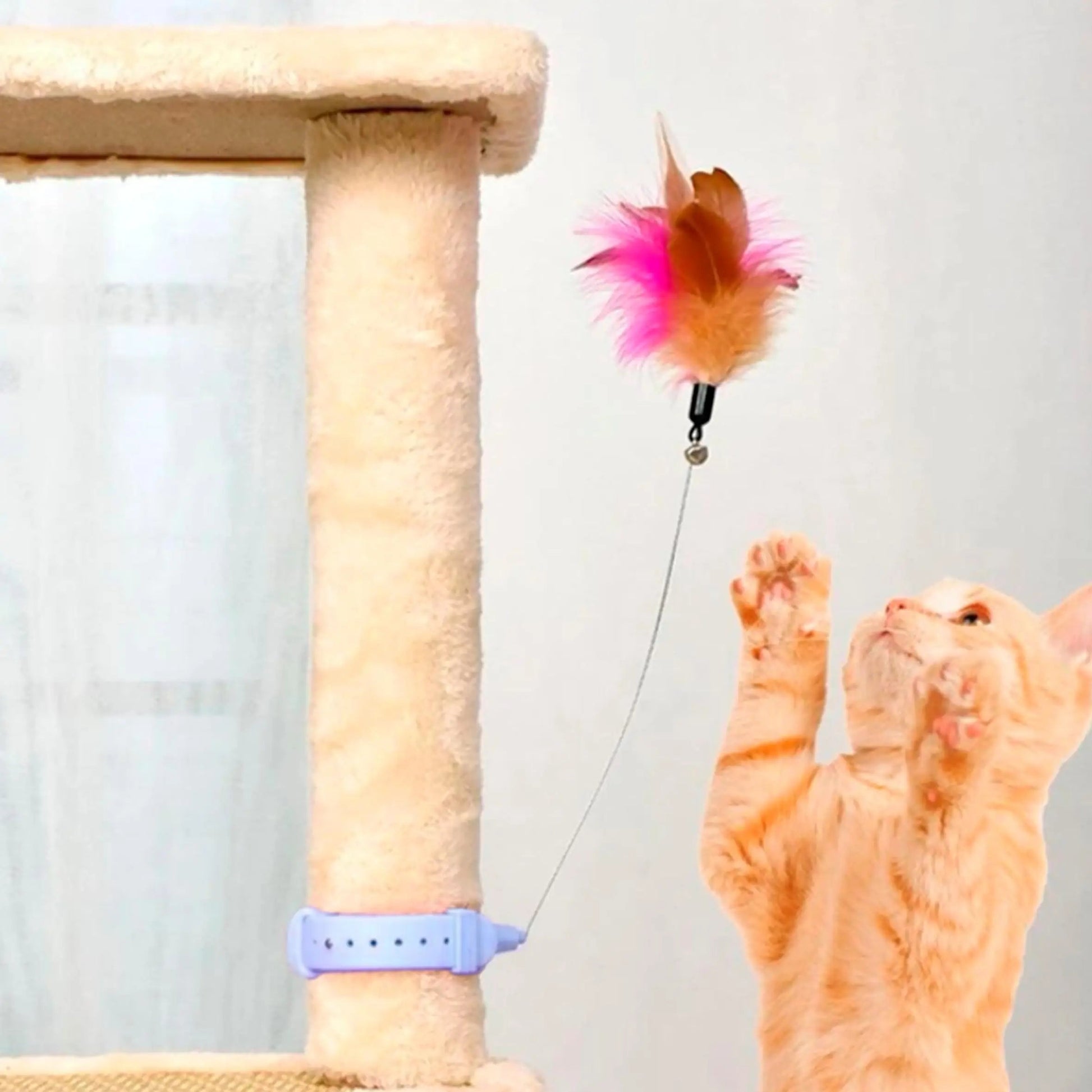 Interactive Cat Feather Collar Toy with Bell My Store 2
