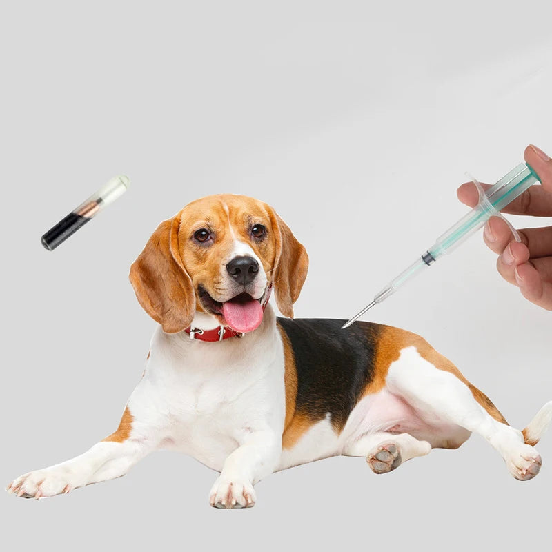 1.25*7Mm/1.4*8Mm/2.12*12Mm Pet Animal Microchip Syringe Horse Dog Microchip Pet Chip Animal Chip Syringe for Dogs Cats Fish